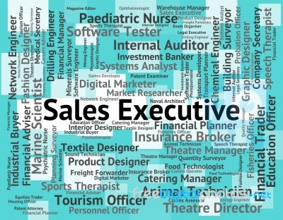 Sales Executive Means Director General And Md Stock Image