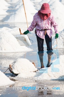 Saline In Samutsakorn Stock Photo