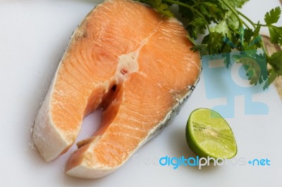 Salmon Stock Photo