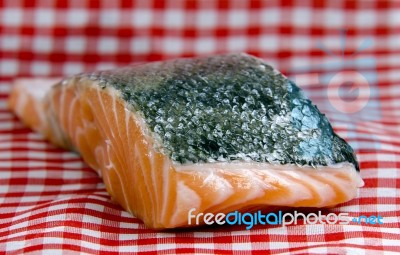 Salmon Stock Photo