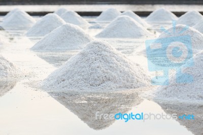 Salt Farm Stock Photo