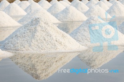 Salt Farm Stock Photo