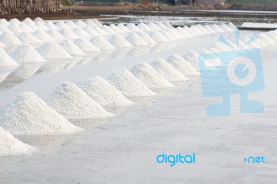 Salt Farm Stock Photo