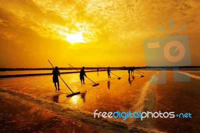 Salt Farming Stock Photo