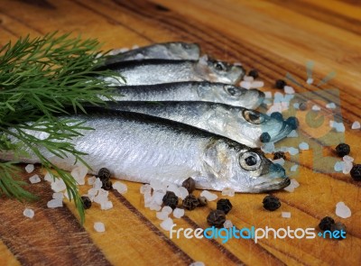 Salted Sprats Stock Photo