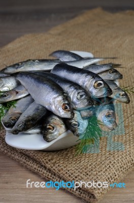 Salted Sprats Stock Photo