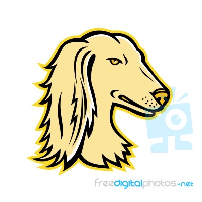 Saluki Or Persian Greyhound Mascot Stock Image