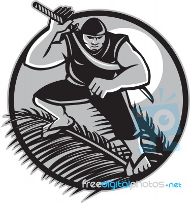 Samoan Ninja On Top Of Coconut Front Circle Stock Image