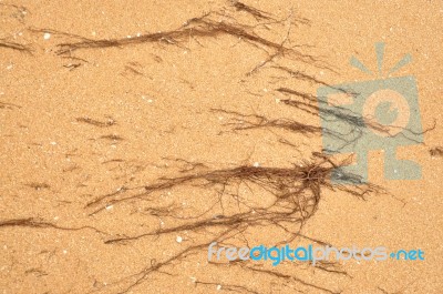 Sand Stock Photo