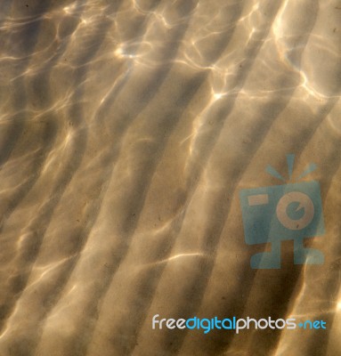 Sand And The  Abstract Thailand Kho Tao Bay  China Sea Stock Photo