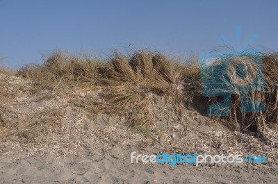 Sand Dune Stock Photo