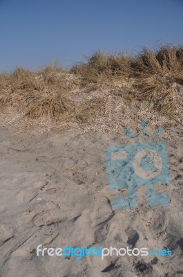 Sand Dune Stock Photo