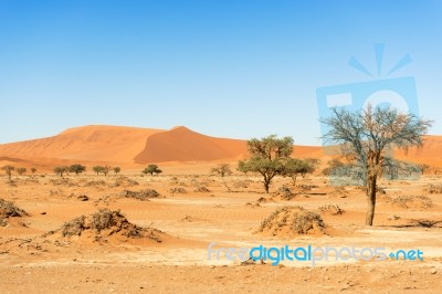 Sand Dune In The Namibian Desert Near Sossusvlei Stock Photo