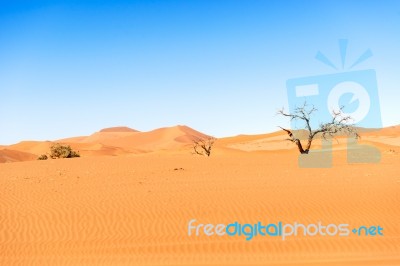 Sand Dune In The Namibian Desert Near Sossusvlei Stock Photo