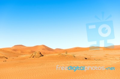 Sand Dune In The Namibian Desert Near Sossusvlei Stock Photo