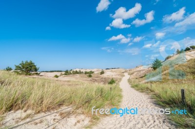 Sand Dunes And Grass Vegetation Background Stock Photo