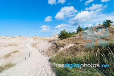 Sand Dunes And Grass Vegetation Background Stock Photo