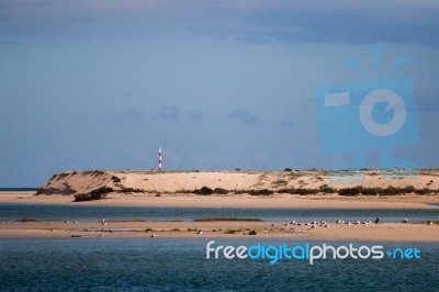 Sand Dunes In Fuseta Stock Photo