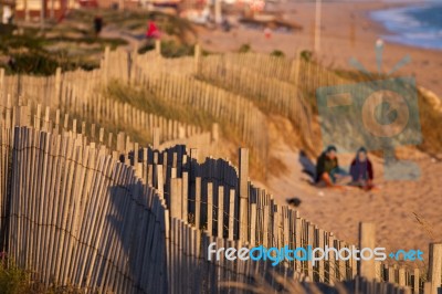 Sand Dunes Of Faro Beach Stock Photo