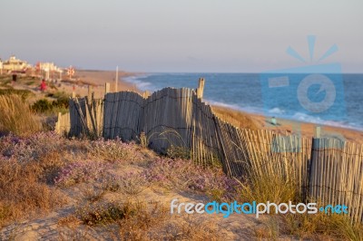 Sand Dunes Of Faro Beach Stock Photo