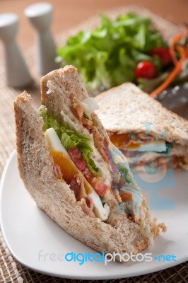 Sandwich Stock Photo