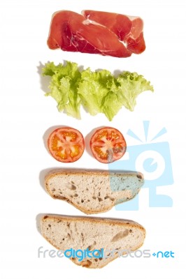 Sandwich Elements On A White Background Stock Photo