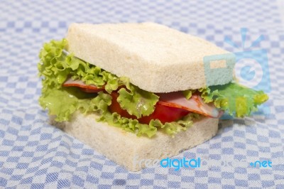 Sandwich With Paio Sausage Stock Photo