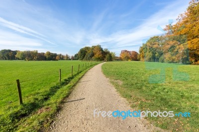 Sandy Path Between Green Meadows With Autumn Colors Stock Photo