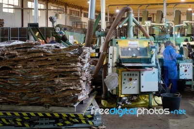 Sao Bras De Alportel, Algarve/portugal - March 9 : Cork Factory Stock Photo