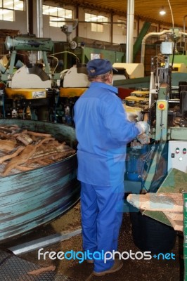 Sao Bras De Alportel, Algarve/portugal - March 9 : Cork Factory Stock Photo