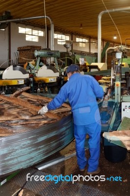 Sao Bras De Alportel, Algarve/portugal - March 9 : Cork Factory Stock Photo