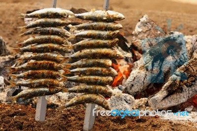 Sardines Stock Photo