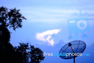 Satellite Tv With Tree In Thailand Stock Photo