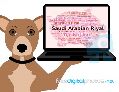 Saudi Arabian Riyal Shows Foreign Currency And Coin Stock Image