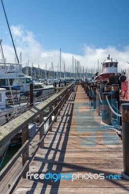 Sausalito, California/usa - August 6 : A View Of The Marina In S… Stock Photo