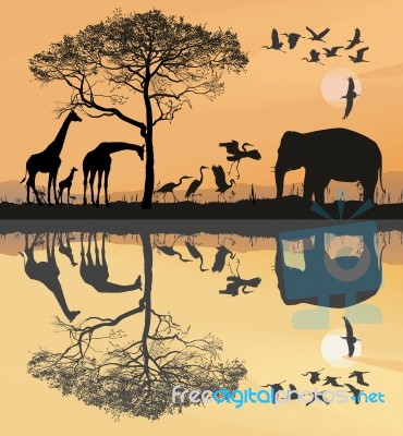 Savana With Giraffes, Herons And Elephant Stock Image