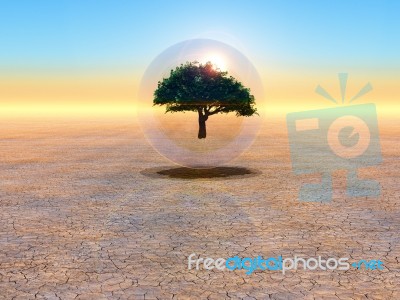 Save The Earth Stock Photo