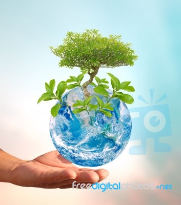 Saving Earth Environment Stock Photo