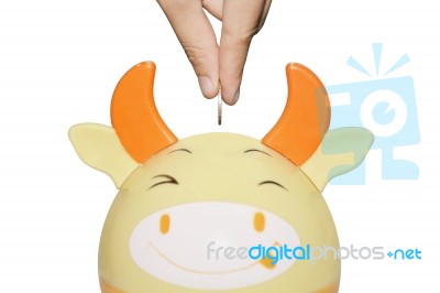 Saving  Money Concept Stock Photo