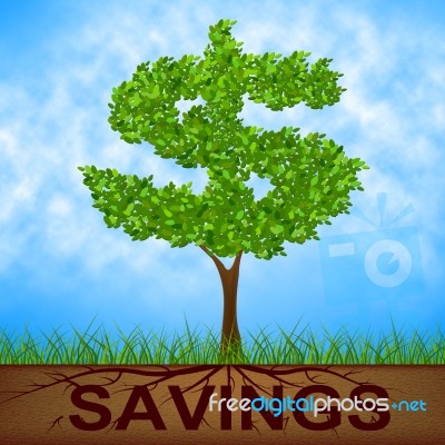 Savings Tree Shows United States And Banking Stock Image