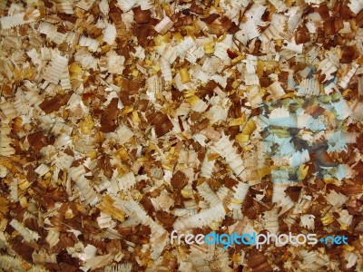 Sawdust Stock Photo