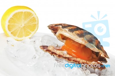 Scallop With Lemon Stock Photo