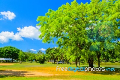 Scenery In The Garden With Blue Sky Stock Photo