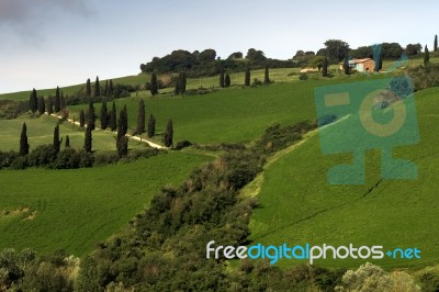 Scenery Val D'orcia Tuscany Stock Photo