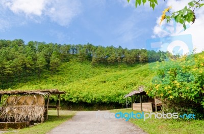 Scenic Nature Doi Mae Uko Mountain Stock Photo