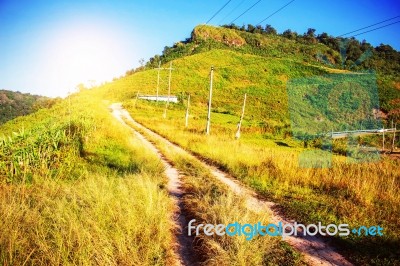 Scenic Trail On Mountain Stock Photo