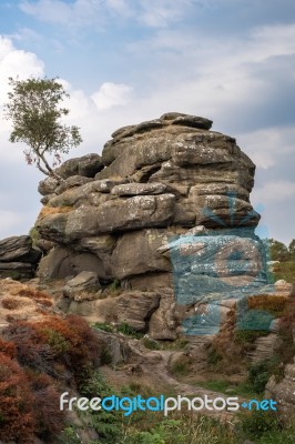 Scenic View Of Brimham Rocks In Yorkshire Dales National Park Stock Photo