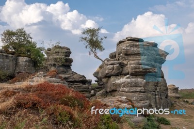 Scenic View Of Brimham Rocks In Yorkshire Dales National Park Stock Photo