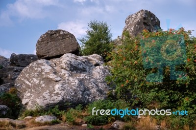 Scenic View Of Brimham Rocks In Yorkshire Dales National Park Stock Photo