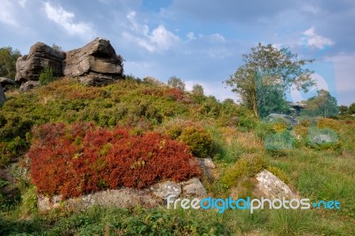 Scenic View Of Brimham Rocks In Yorkshire Dales National Park Stock Photo